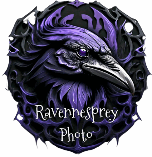 RAVENNESPREY PHOTO